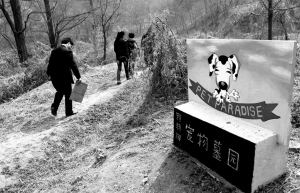 宠物狗火化费近2000元,买块墓地最高3万元,福港宠物服务提供更加亲民的价格 宠物狗火化费近2000元,买块墓地最高3万元,福港宠物服务提供更加亲民的价格