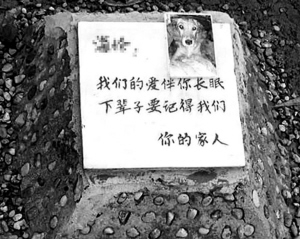 宠物狗火化费近2000元,买块墓地最高3万元,福港宠物服务提供更加亲民的价格
