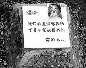 宠物狗火化费近2000元,买块墓地最高3万元,福港宠物服务提供更加亲民的价格 宠物狗火化费近2000元,买块墓地最高3万元,福港宠物服务提供更加亲民的价格