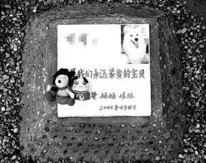 宠物狗火化费近2000元,买块墓地最高3万元,福港宠物服务提供更加亲民的价格 宠物狗火化费近2000元,买块墓地最高3万元,福港宠物服务提供更加亲民的价格