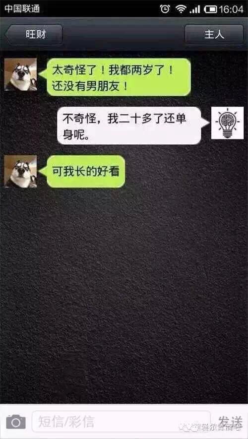 超搞笑的人狗对话