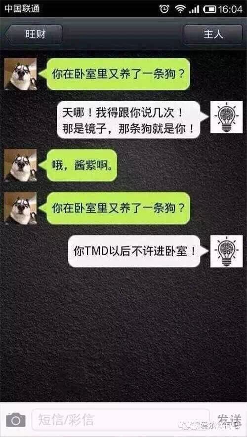 超搞笑的人狗对话