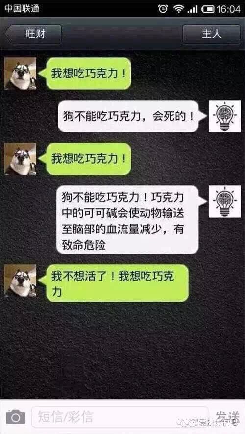 超搞笑的人狗对话