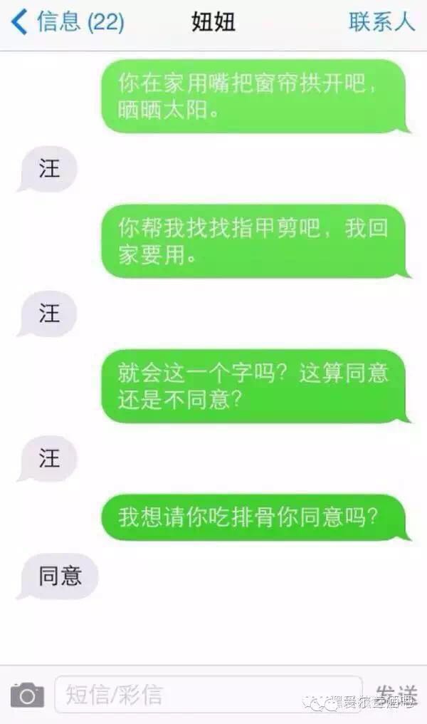 超搞笑的人狗对话