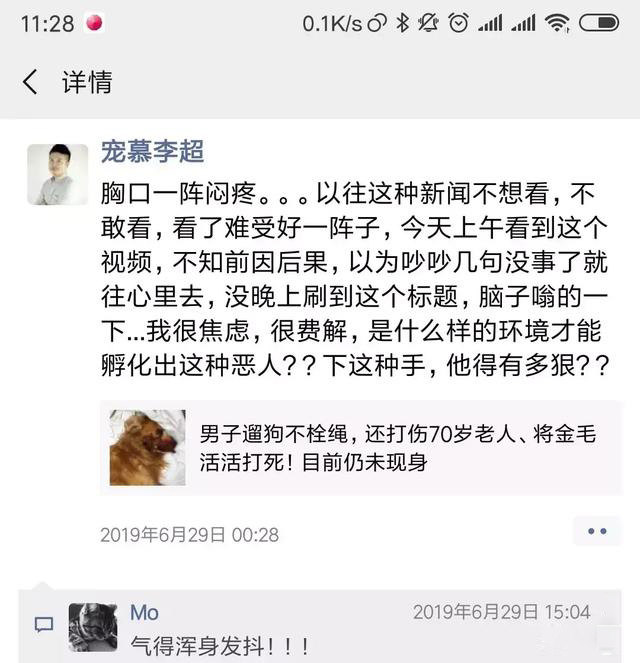 打死金毛事件：被遗忘的小家伙，来世找个好主人