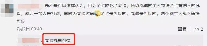 打死金毛事件:被遗忘的小家伙,来世找个好主人 打死金毛事件:被遗忘的小家伙,来世找个好主人