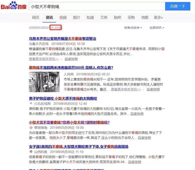 打死金毛事件:被遗忘的小家伙,来世找个好主人 打死金毛事件:被遗忘的小家伙,来世找个好主人