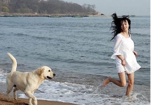 宠物经济逐渐兴起，背后是千亿级的消费市场