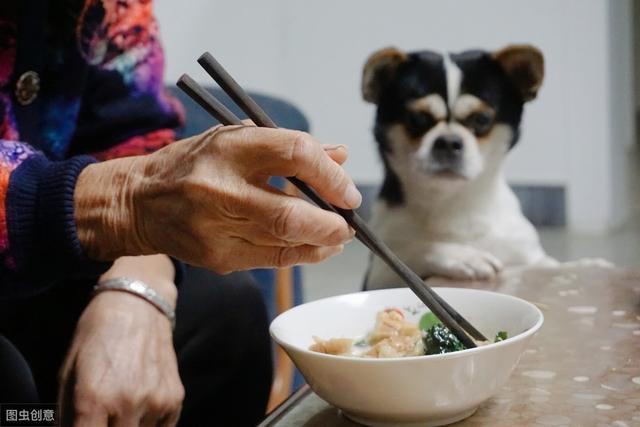 养狗能提升幸福感？网友：我读书少，你别骗我了