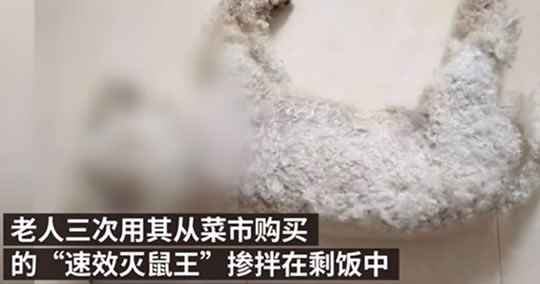 3次毒杀22条宠物犬，7旬老人被判3年，不文明养犬的咋处理？