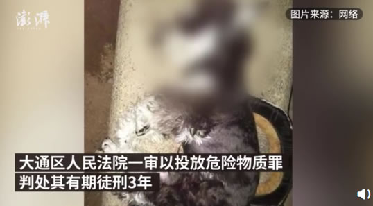 3次毒杀22条宠物犬，7旬老人被判3年，不文明养犬的咋处理？