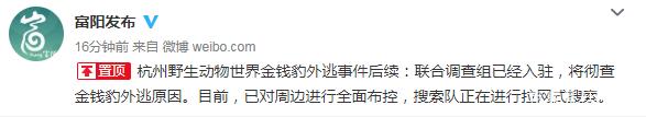 富阳辟谣！第二只豹子未死 只是麻醉捕获