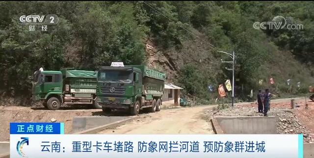 多辆渣土车24小时待命 云南玉溪：建立防线 防止大象进城