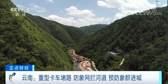 多辆渣土车24小时待命 云南玉溪：建立防线 防止大象进城