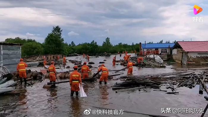 洪水淹没养殖场300头猪水中奔跑