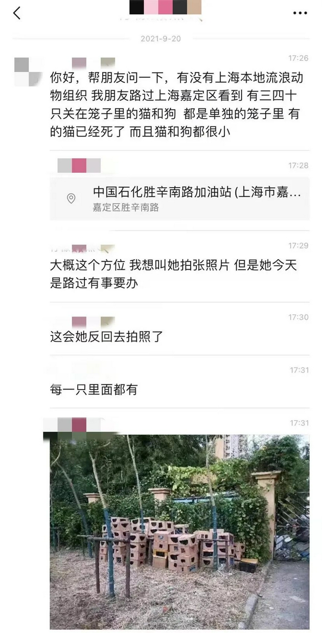 惨不忍睹！警方回应近百个宠物快递盲盒被遗弃，究竟是啥情况？