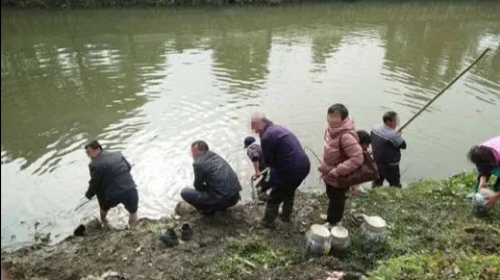 酒厂起火黄酒流入湖中致鱼群醉倒，网友：料酒都省了！