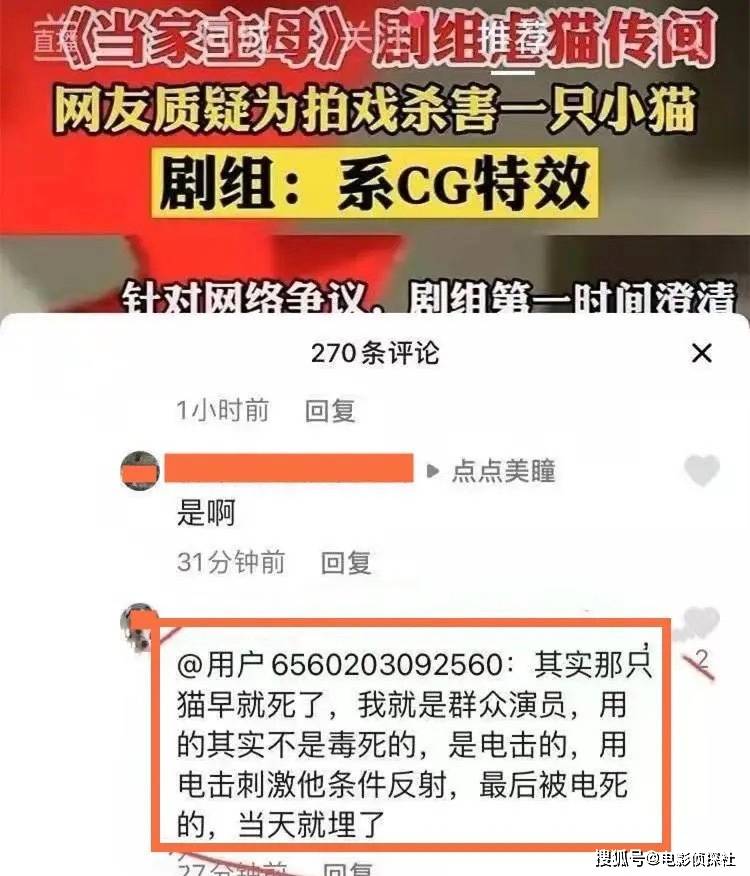 受虐猫事件影响，《当家主母》评分下降，剧组2度澄清仍被质疑