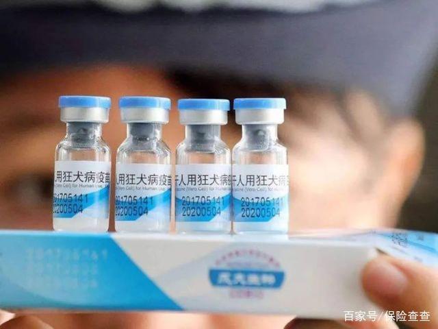 杭州女孩被狗舔了下,几个月后竟发病死亡!真相不简单