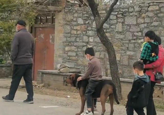 河南大家在排队做核酸，接下来男孩的古怪动作