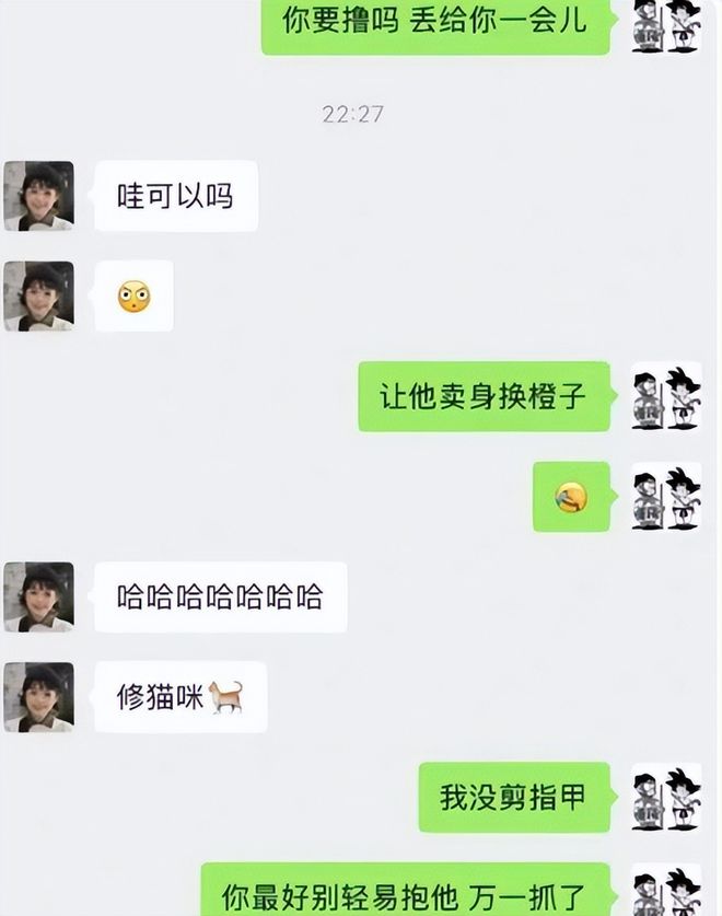 上海“以物换物”行情：可乐换万物、撸猫换橙子