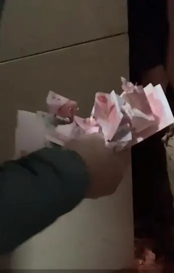 老鼠盗窃1800多元现金在轮胎内建“豪宅”场面让人哭笑不得