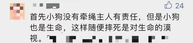 宠物狗吓哭小孩被家长摔死!女主人回应,网友吵翻 宠物狗吓哭小孩被家长摔死!女主人回应,网友吵翻