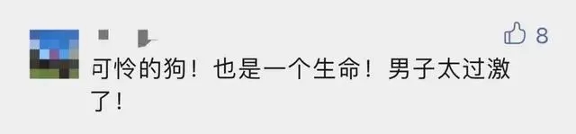 宠物狗吓哭小孩被家长摔死!女主人回应,网友吵翻 宠物狗吓哭小孩被家长摔死!女主人回应,网友吵翻