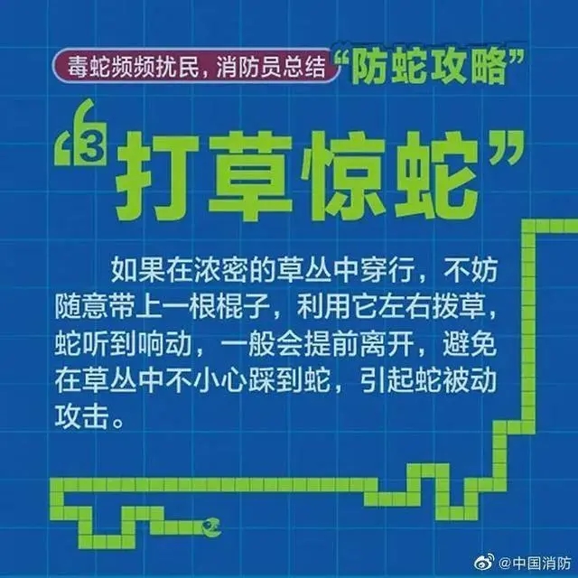 长3米重10斤！南宁一小区车库出现眼镜王蛇，消防紧急提醒