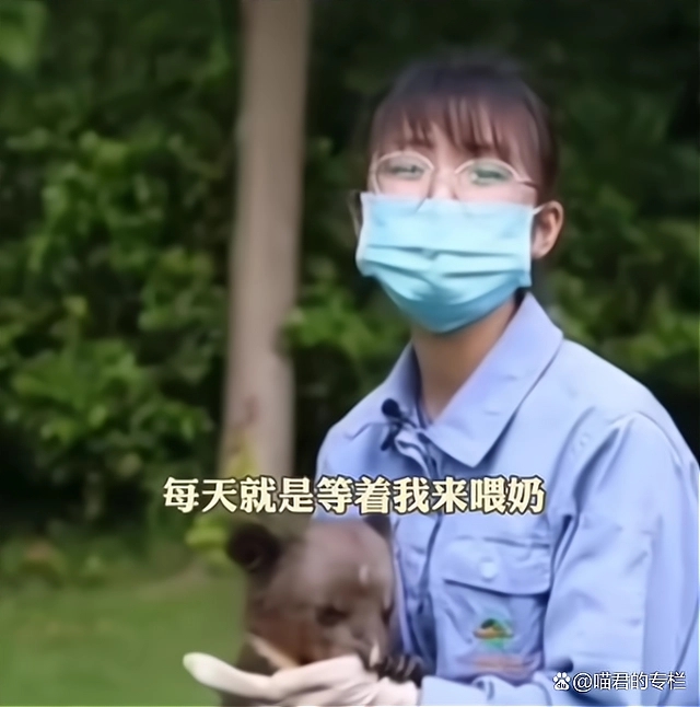 上海野生动物园300多名员工和动物一起隔离60天，网友：特别解压