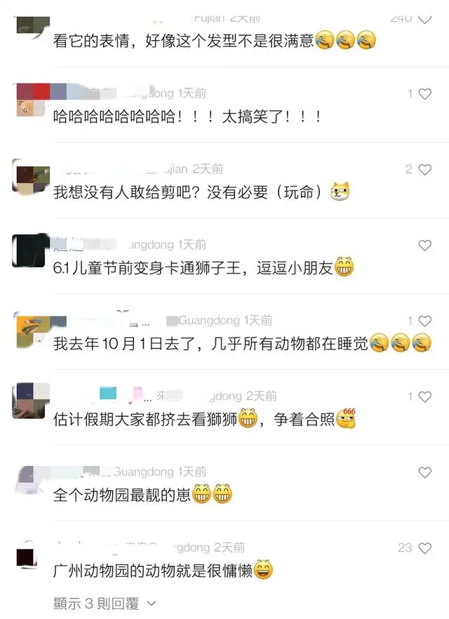 “齐刘海”狮子走红网络 广州动物园回应：天生就这样