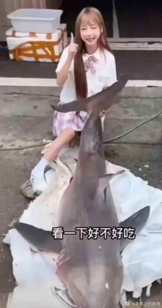 网红为流量吃播濒危大白鲨！明知故食的吃播必须叫停