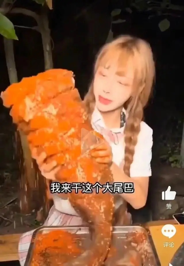 网红为流量吃播濒危大白鲨！明知故食的吃播必须叫停