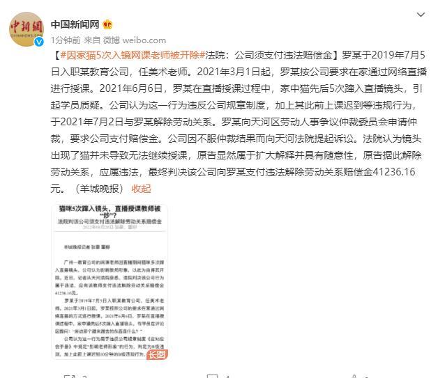 因家猫5次入镜网课老师被开除法院：公司须支付违法赔偿金