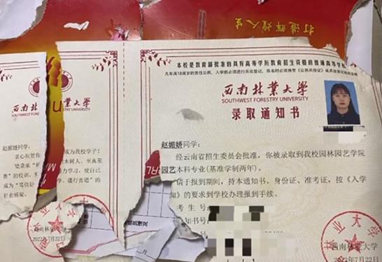 开学前录取通知书被狗狗咬碎，女生：学校已补发录取通知书