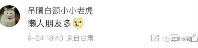 3只胖锦鲤组团出游？趵突泉不为人知的另一面，曾巩李清照带你看