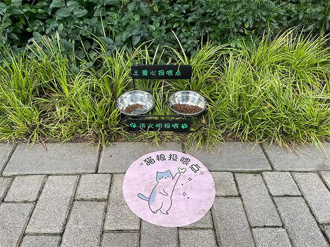“猫奴们”看过来，上海静安公园有了流浪猫固定爱心投喂点